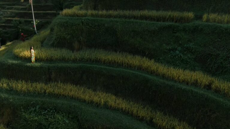 Instagram post from yourbuddybali. This post is in position 5.