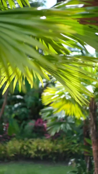 Instagram post from yourbuddybali. This post is in position 11.
