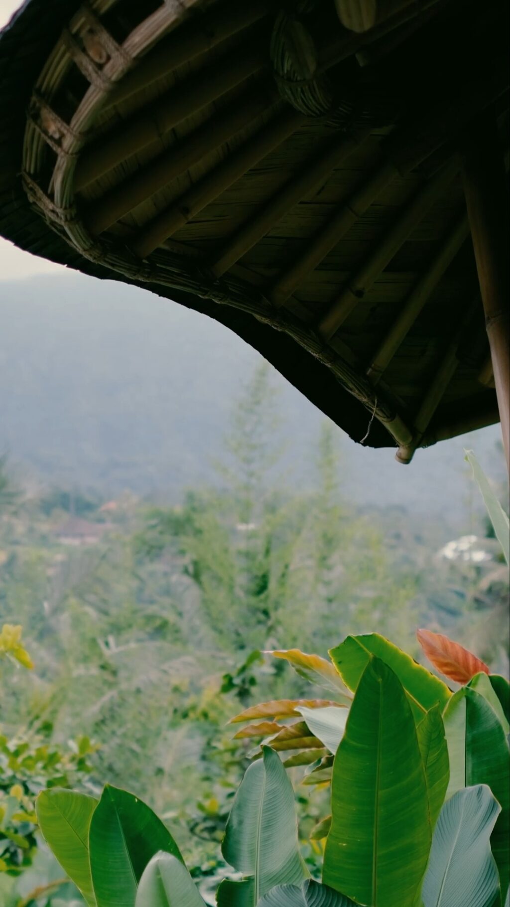 Instagram post from yourbuddybali. This post is in position 2.